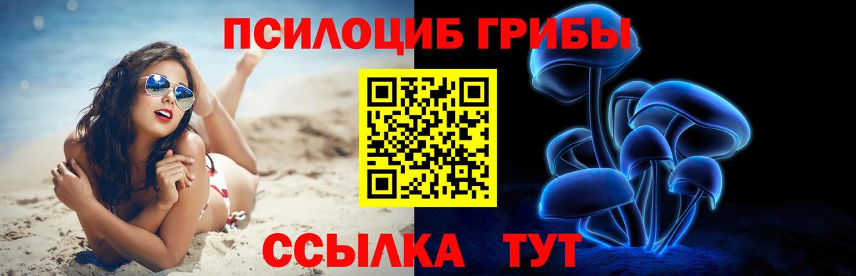 Галлюциногенные грибы GOLDEN TEACHER  Вход с VPN  Псилоцибиновые грибы ЛСД  Кушва 